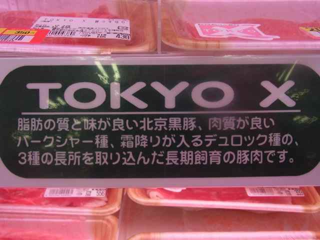 tokyo x.jpg